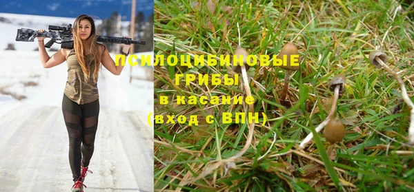 каннабис Покачи