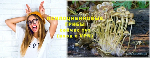 apvp Покров