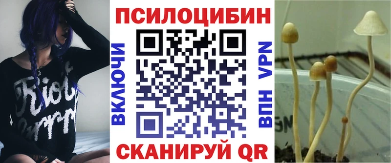 Псилоцибиновые грибы Magic Shrooms Светлогорск